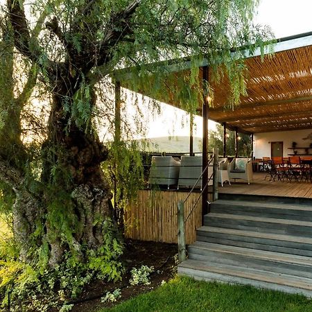 Swartberg Country Manor Guest House Matjiesrivier  ภายนอก รูปภาพ