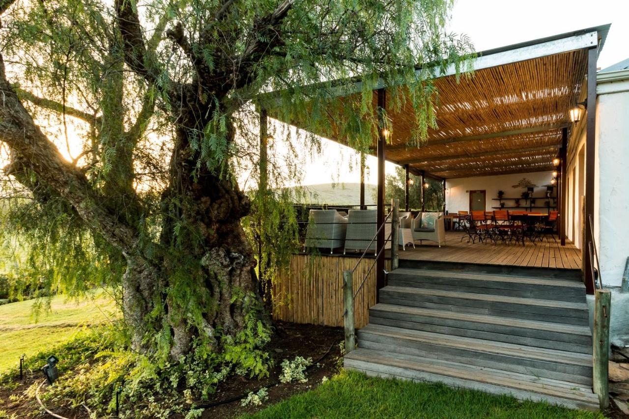 Swartberg Country Manor Guest House Matjiesrivier  ภายนอก รูปภาพ