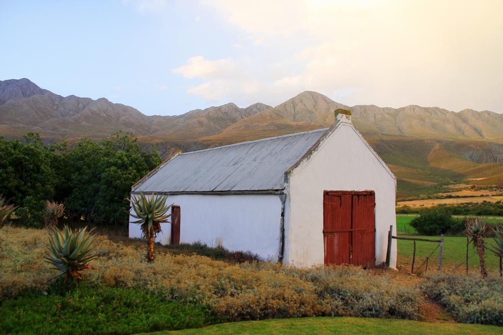 Swartberg Country Manor Guest House Matjiesrivier  ภายนอก รูปภาพ