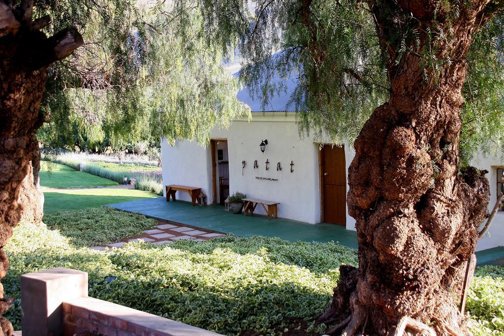 Swartberg Country Manor Guest House Matjiesrivier  ภายนอก รูปภาพ