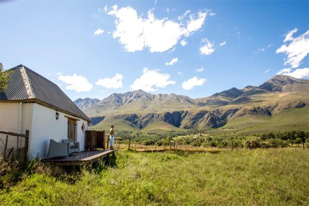 Swartberg Country Manor Guest House Matjiesrivier  ภายนอก รูปภาพ