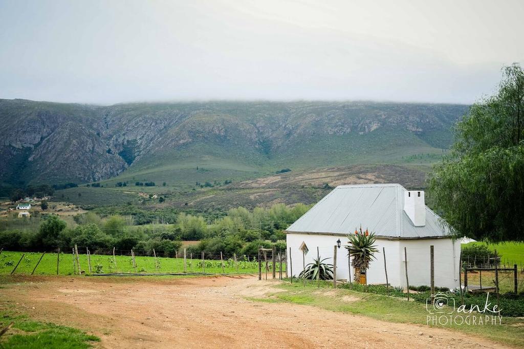Swartberg Country Manor Guest House Matjiesrivier  ภายนอก รูปภาพ