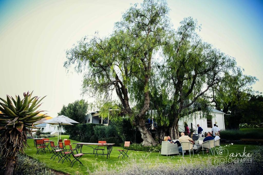 Swartberg Country Manor Guest House Matjiesrivier  ภายนอก รูปภาพ